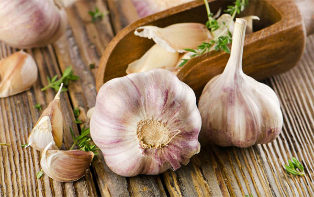 how useful is garlic