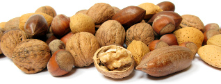 Nuts are all varieties of